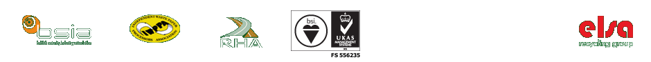 elsa group
